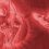 2016 Interventional Online Board Review  -Videos+PDFs
