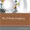 Skull Base Imaging, 1e-Original PDF