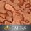 Masters of Pathology Series –  Dermatopathology 2018 –  Videos + PDFs