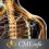 Neurology for Non-Neurologists 2018 – Videos+PDFs