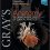 Gray’s Anatomy: The Anatomical Basis of Clinical Practice 42nd Edition-Retial PDF
