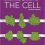 Molecular Biology of the Cell Seventh Edition-Original PDF