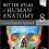 Netter Atlas of Human Anatomy: Classic Regional Approach: (Netter Basic Science) 8th Edition-Original PDF
