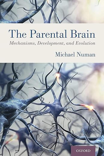 Parental Brain