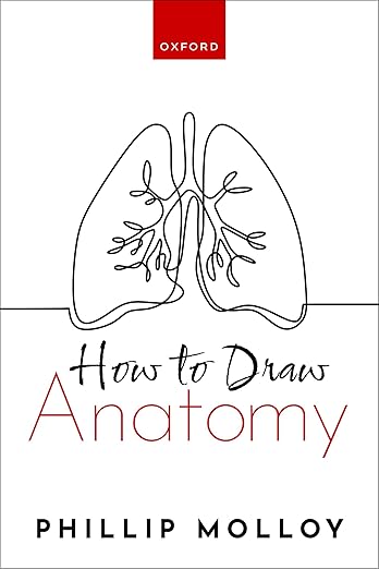 How to Draw Anatomy