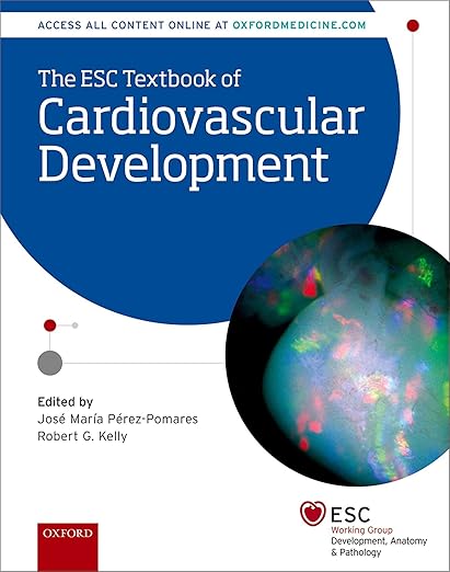Cardiovascular Development