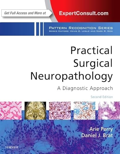 Practical Surgical Neuropathology : a Diagnostic Approach