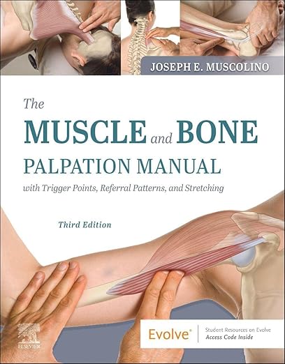 Muscle and Bone Palpation Manual with Trigger Points, Referral Patterns and Stretching