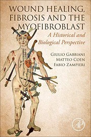Wound Healing, and the Myofibroblast
