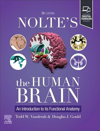 Nolte's the Human Brain