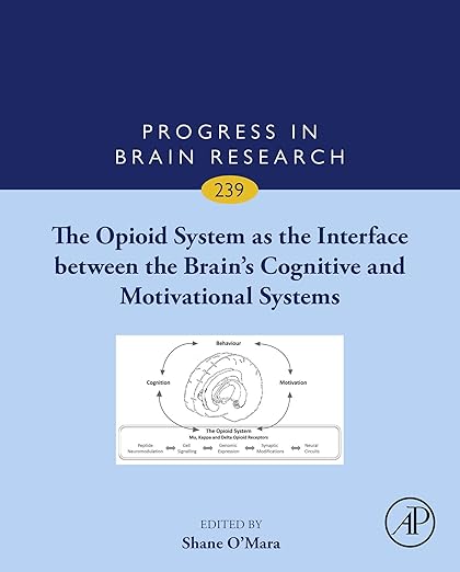 Opioid System As the Brain's Interface Between Cognition and Motivation