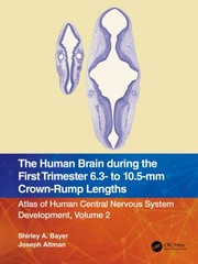 Human Brain During the First Trimester 6. 3 to 10. 5 MM Crown-Rump Lengths