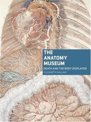 The Anatomy Museum