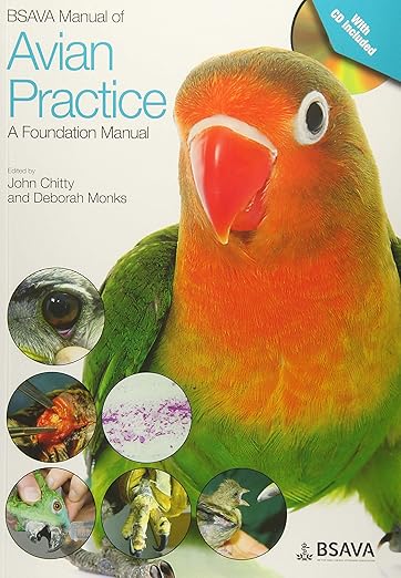 Avian Practice