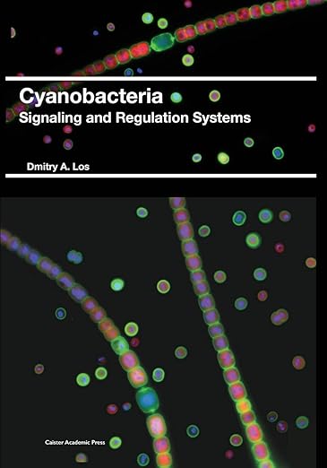 Cyanobacteria