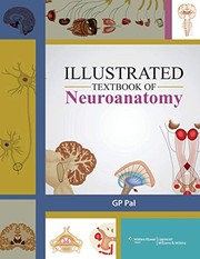 Illus Textbk Neuroanatomy India Orig