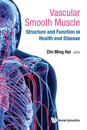 Vascular Smooth Muscle