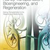 Kidney Transplantation, Bioengineering, and Regeneration: Kidney Transplantation in the Regenerative Medicine Era-Original PDF