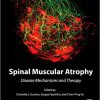 Spinal Muscular Atrophy: Disease Mechanisms and Therapy-Original PDF