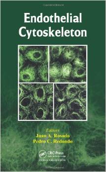 Endothelial Cytoskeleton