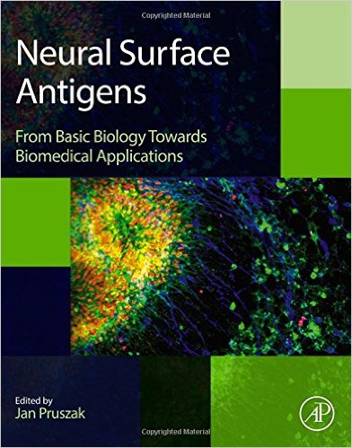 Neural Surface Antigens From Basic Biology Towards Biomedical Applications – Original PDF