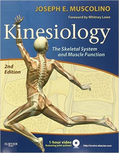 Kinesiology: The Skeletal System and Muscle Function, 2e – original PDF