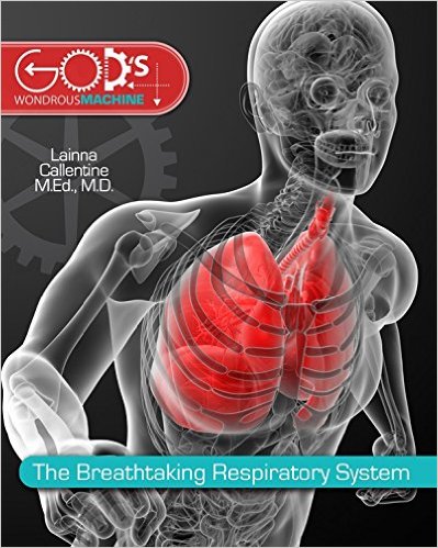 Breathtaking Respiratory System – Original PDF