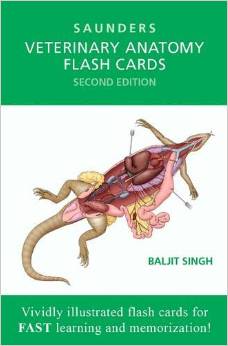 Veterinary Anatomy Flash Cards, 2e – Original PDF