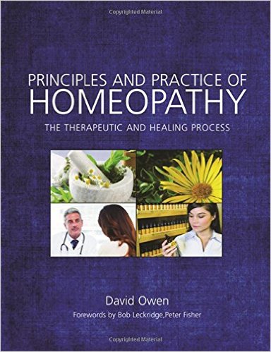 Principles and Practice of Homeopathy The Therapeutic and Healing Process – Original PDF