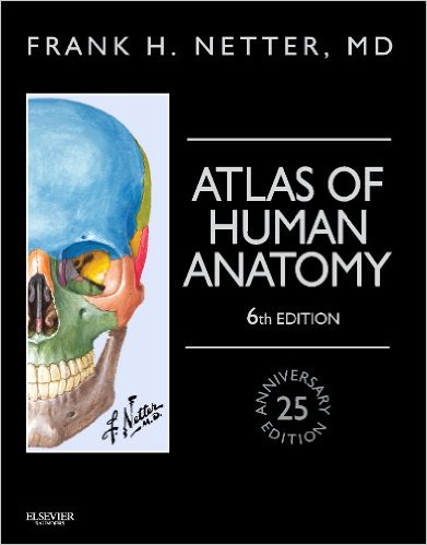 Atlas of Human Anatomy, Professional Edition, 6e – Original PDF