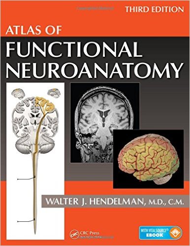 Atlas of Functional Neuroanatomy, Third Edition – Original PDF
