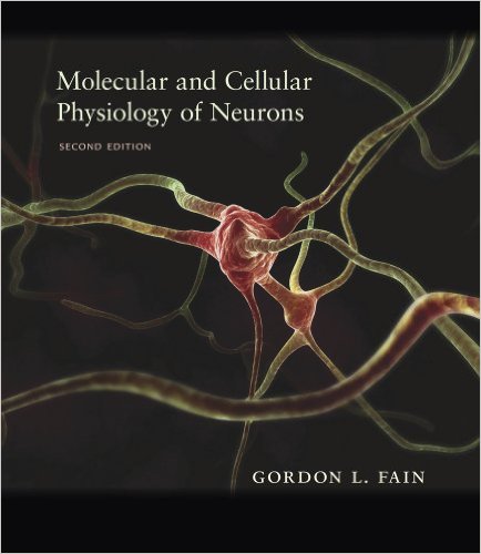 Molecular and Cellular Physiology of Neurons, Second Edition – Original PDF