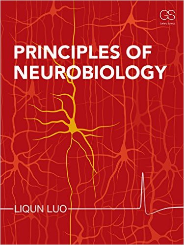 Principles of Neurobiology – Original PDF