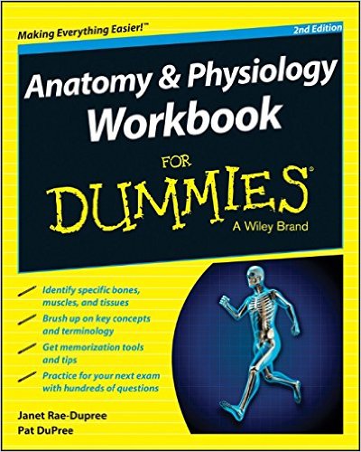 Anatomy and Physiology Workbook For Dummies 2nd Edition – EPUB