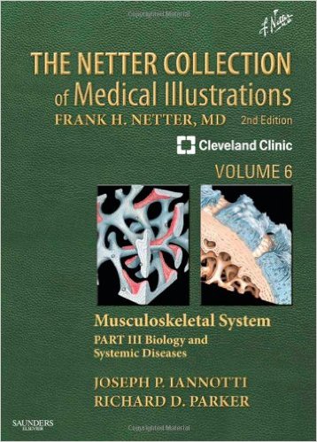 The Netter Collection of Medical Illustrations: Musculoskeletal System, Volume 6, Part III – Biology and Systemic Diseases, 2e – Original PDF