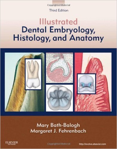 Illustrated Dental Embryology, Histology, and Anatomy, 3e – Original PDF