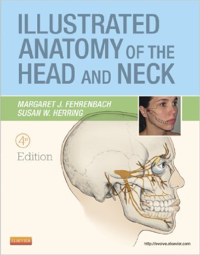 Illustrated Anatomy of the Head and Neck, 4th Edition – Original PDF