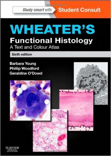 Wheater’s Functional Histology: A Text and Colour Atlas, 6e – Original PDF