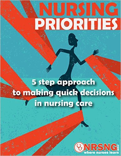 Nursing Priorities: 5 Step Approach to Making Quick Decisions in Nursing Care (Decision Making in Nursing) – EPUB