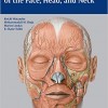 Anatomy for Plastic Surgery of the Face, Head and Neck – Original PDF + Videos