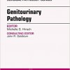 Genitourinary Pathology: An Issue of Surgical Pathology Clinics – Original PDF