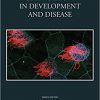Cell Polarity in Development and Disease (Perspectives in Translational Cell Biology)-Original PDF