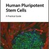 Human Pluripotent Stem Cells: A Practical Guide-Original PDF