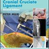 Advances in the Canine Cranial Cruciate Ligament (AVS Advances in Veterinary Surgery) 2nd Edition-Original PDF