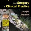 Reptile Medicine and Surgery in Clinical Practice-Original PDF
