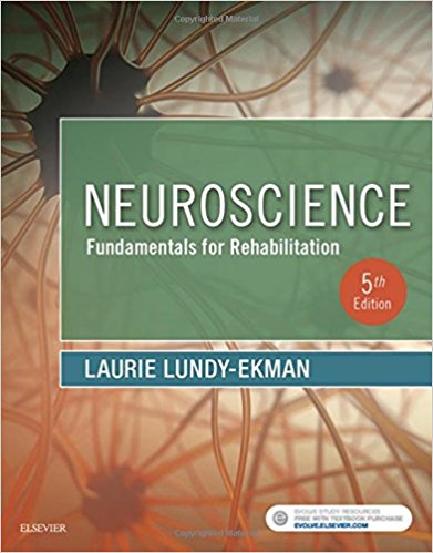 neuroscience purves 5th edition pdf download