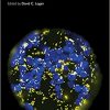 Annual Plant Reviews, Plant Mitochondria (Volume 50, 2) 2nd Edition-EPUB