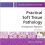 Practical Soft Tissue Pathology: A Diagnostic Approach: A Volume in the Pattern Recognition Series, 2e-Original PDF