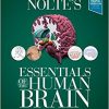 Nolte’s Essentials of the Human Brain, 2e-Original PDF