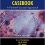 Pharmacotherapy Casebook: A Patient-Focused Approach, Tenth Edition-Original PDF